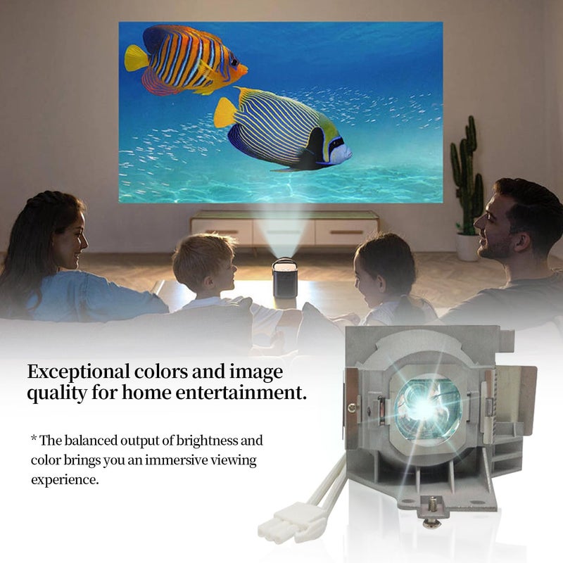 SORNEICDR مصباح بديل RLC-093/RLC-092 متوافق مع جهاز العرض Viewsonic PJD5153 PJD5155 PJD5255 PJD6350 PJD5555W PJD6550Lw PJD6551Lws PJD6350 PJD5353LS مع وحدة الإسكان - Image 5